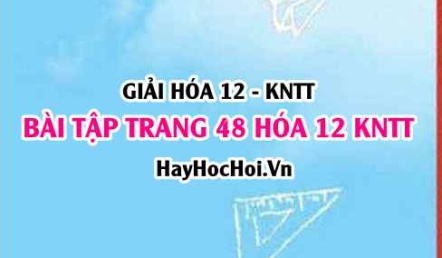 Giải bài trang 48 Hóa 12 Kết nối tri thức SGK